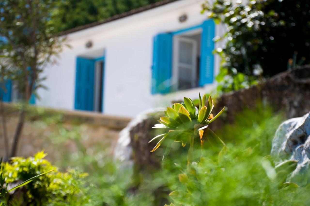 The Olive Cottage - Ithaca Vathy  Esterno foto